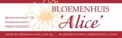 Bloemenhuis_Alice